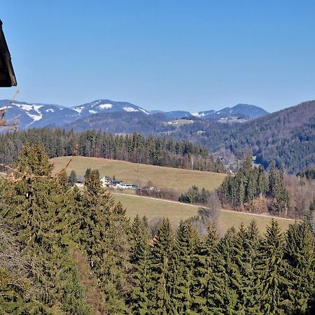 Natur- & Erlebnis Ferienhaus Voitsberg Exterior photo